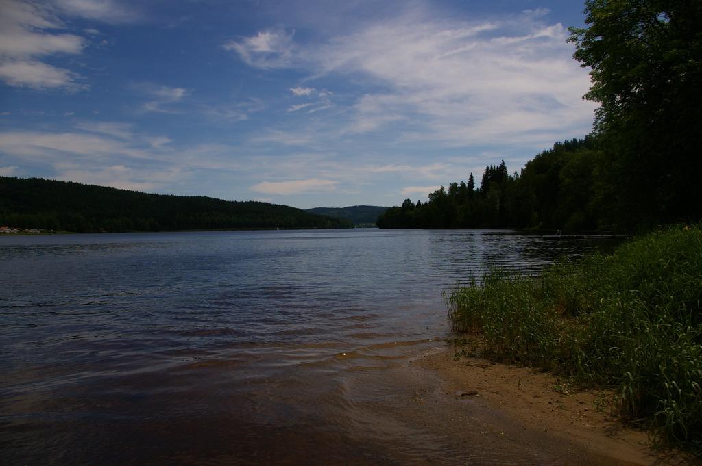 Penzion U Lipna Přední Výtoň エクステリア 写真